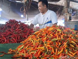 Disdag Mataram Datangkan Cabai dari Jawa-Bima Usai Tembus Rp 200 Ribu per Kg