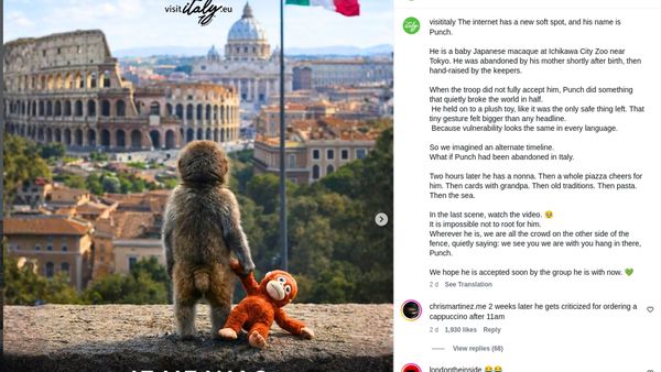 Ketika Bayi Monyet Punch Menggugah Empati Dunia