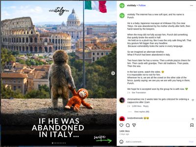 Ketika Bayi Monyet Punch Menggugah Empati Dunia