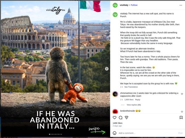 Ketika Bayi Monyet Punch Menggugah Empati Dunia