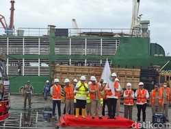 Pemprov Jakarta Impor Sapi dari Australia, Tahap Awal 3.100 Ekor