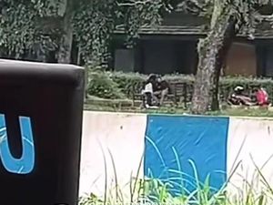 Viral Sejoli Mesum di Kampus Universitas Jember