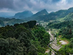 Strategi MIND ID Rehabilitasi Lahan Bekas Tambang di Bangka Belitung