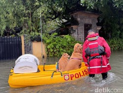 Tetap Santai Saat Dievakuasi, WNA Maklum Hujan Deras di Bali