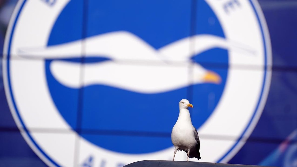 Ilustrasi burung camar di markas Brighton & Hove Albion, klub Inggris berjuluk Si Burung Camar (Foto: PA Images via Getty Images/Adam Davy - PA Images)