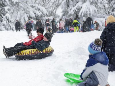 New York Diguyur Salju Lebat, Central Park Jadi Arena Bermain