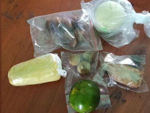 Sajian Menu MBG Setengah Tongkol Jagung-Piscok yang Bikin SPPG Ditutup