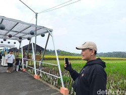 Rahasia Bapak-bapak FB Pro Dapat Cuan Jutaan di Kuningan