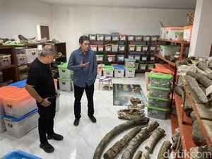 Wakil Ketua DPR Ingin Jadikan Situs Purbakala Patiayam Jadi Cagar Budaya Nasional