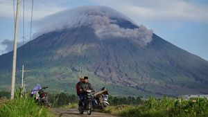 Gunung Semeru Erupsi, Kolom Abu Capai 600 Meter