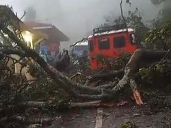 Longsor di Bromo, 7 Motor Tertimbun dan Akses Wisata Tertutup