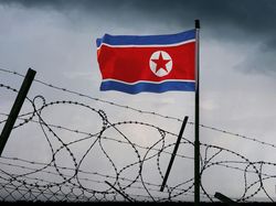 Lawan Gelombang Panas, Korut Anjurkan Konsumsi Sup Daging Anjing