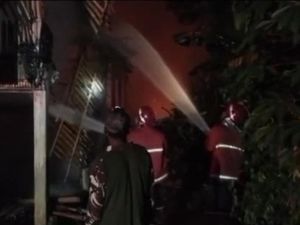 Kandang Ayam Petelur di Purbalingga Ludes Terbakar, Kerugian Capai Rp 900 Juta