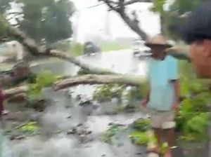 2 Siswi SMA Boncengan Motor di Pinrang Tertimpa Pohon Tumbang, 1 Tewas