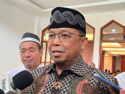 Setuju Ditunda, PD Sebut Impor Pikap dari India Tak Pernah Dibahas di DPR