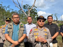 Polda Riau Umumkan Hasil Penyidikan Kasus Gajah Dibunuh Pekan Depan