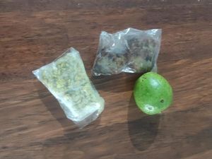 Wali Murid di Pasuruan Keluhkan Menu MBG Ramadan: Lebih Baik Dihentikan