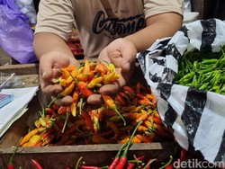 Petani Ungkap Penyebab Harga Cabai Melesat hingga Tembus Rp 90 Ribu/Kg