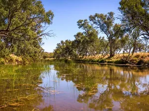 Sungai Tertua di Dunia Ada di Wilayah Ini, Eksis sejak Sebelum Era Dinosaurus