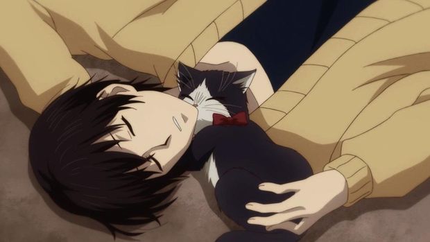 Anime My Roommate Is A Cat