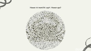 Bisa Temukan 4 Gambar Hewan? Harusnya Mudah Kalau Lolos Tes Buta Warna