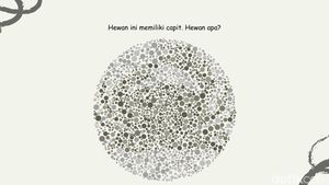 Bisa Temukan 4 Gambar Hewan? Harusnya Mudah Kalau Lolos Tes Buta Warna