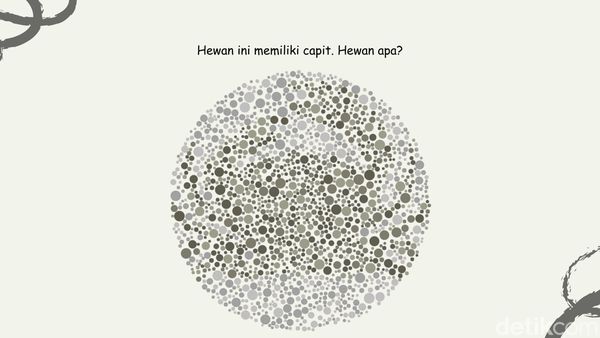 Bisa Temukan 4 Gambar Hewan? Harusnya Mudah Kalau Lolos Tes Buta Warna