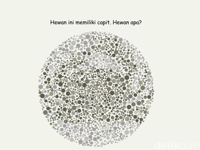 Bisa Temukan 4 Gambar Hewan? Harusnya Mudah Kalau Lolos Tes Buta Warna