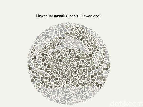 Bisa Temukan 4 Gambar Hewan? Harusnya Mudah Kalau Lolos Tes Buta Warna