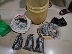 Produsen Petasan Ilegal di Malang Dibongkar, 3 Kg Bubuk Mercon Disita