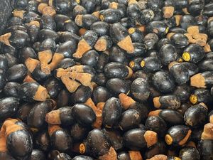 2 Buah Hutan Khas Kalbar Curi Perhatian Pasar Internasional