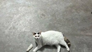 Foto yang Harus Dilihat Dua Kali, Baru Deh Ngeh