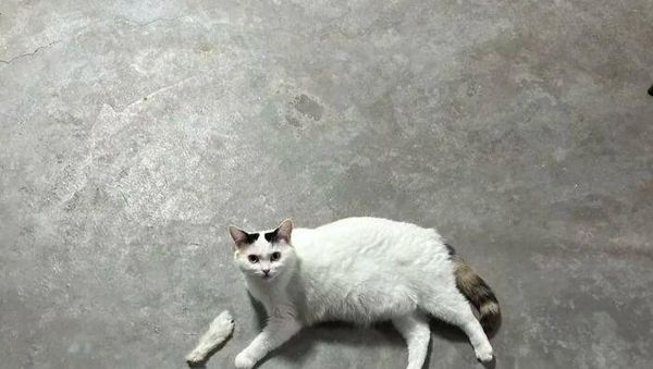 Foto yang Harus Dilihat Dua Kali, Baru Deh Ngeh