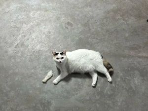 Foto yang Harus Dilihat Dua Kali, Baru Deh Ngeh