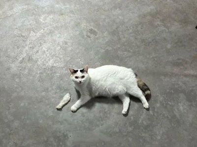 Foto yang Harus Dilihat Dua Kali, Baru Deh Ngeh