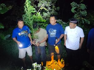 Berkebun Ganja di Rumah, 2 Warga Plosoklaten Kediri Ditangkap
