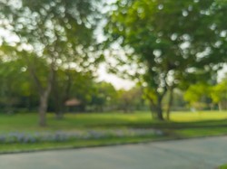 Duh, Taman Kota Cawang Diduga Jadi Sarang Asusila