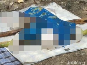 Mayat Balita Ditemukan di Pulau Moyo Sumbawa, Diduga Hanyut dari Lombok Timur