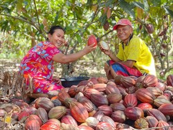 Mars Danai Save the Children 3 Juta USD, Perkuat Simpan Pinjam-Kakao Indonesia