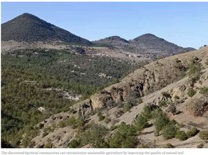 Ilmuwan Temukan Pasukan Bakteri Penyubur Tanah yang Bikin Tanah Self Healing