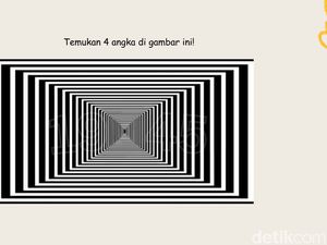 Ada Angka Tersembunyi di Balik Pola Random Ini, Bisa Temukan dalam 10 Detik?