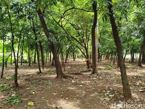 Sudut Gelap Taman Kota Cawang yang Bikin Tercengang