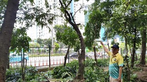 Video: Diduga Jadi Tempat Asusila, Taman Kota Cawang Dipasang Lampu Tembak