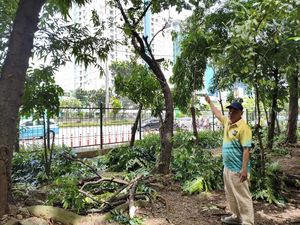 Video: Diduga Jadi Tempat Asusila, Taman Kota Cawang Dipasang Lampu Tembak