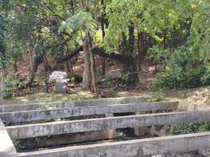 Petugas Sempat Ciduk 4 Pria di Taman Kota Cawang Diduga Jadi Sarang Asusila