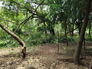 Pengamanan Taman Kota Cawang Diperketat Usai Diduga Jadi Sarang Asusila