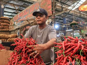 Stok Cabai di Jakarta Aman Jelang Idul Fitri