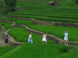 Jatiluwih Gelar Nyepi Sawah 2 Hari, Tutup Pintu buat Wisatawan