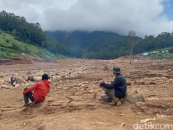 Lokasi Longsor Cisarua Dihijaukan, Benih Mulai Ditabur Lewat Drone