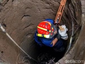 Kucing Nyemplung Sumur 2 Hari di Teras Boyolali, Pemilik Lapor Damkar